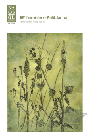 Kaos GL Dergisi 190 - HIV: Deneyimler ve Politikalar