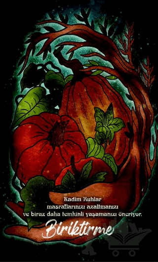 Şaman Defterleri - Biriktirme