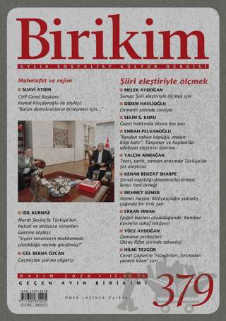 Birikim Aylık Sosyalist Kültür Dergisi Sayı: 379 Kasım 2020