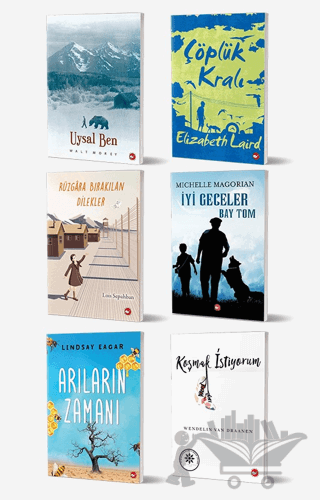 Okullarda Okutulan 8. Sınıf Kitap Seti (6 Kitap Takım)