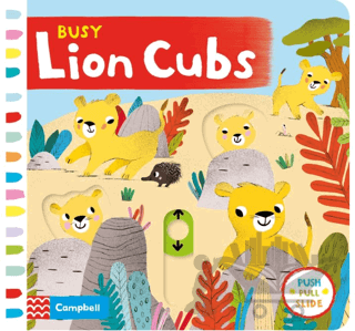 Busy Lion Cubs