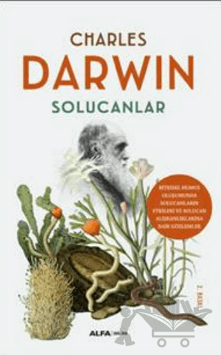 Solucanlar