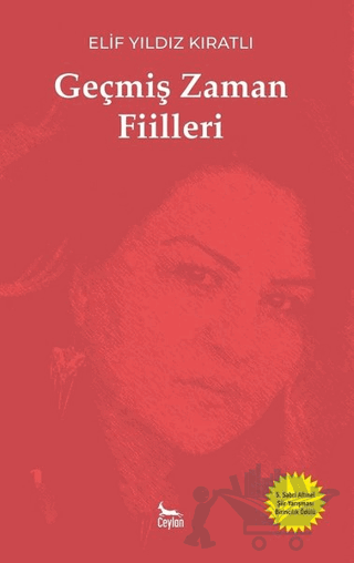 Geçmiş Zaman Fiilleri