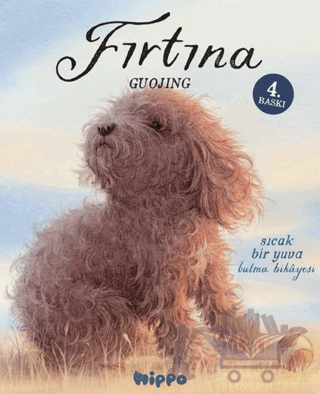 Fırtına
