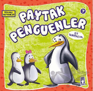 Paytak Penguenler ile Tanışalım