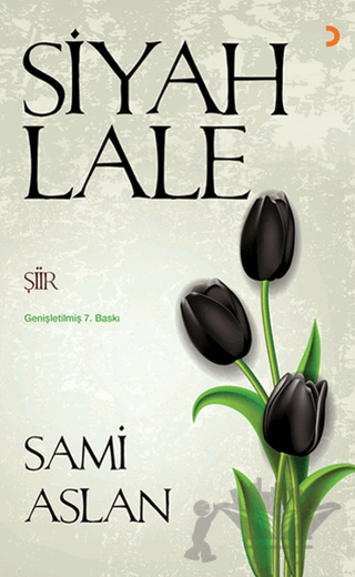 Siyah Lale