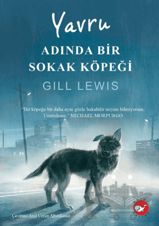Yavru Adında Bir Sokak Köpeği