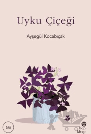 Uyku Çiçeği