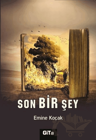 Son Bir Şey