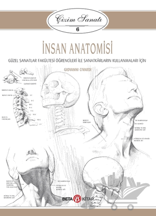 İnsan Anatomisi - Çizim Sanatı 6