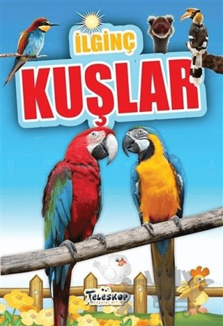 İlginç Kuşlar