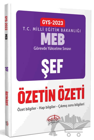 Milli Eğitim Bakanlığı Şef GYS Özetin Özeti