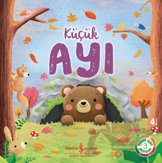 Küçük Ayı