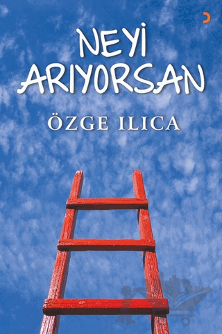 Neyi Arıyorsan