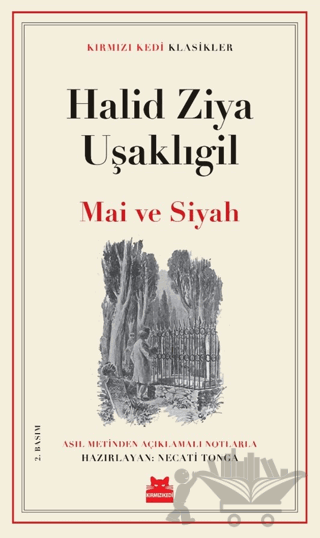 Mai ve Siyah
