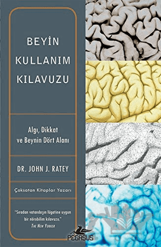 Beyin Kullanım Kılavuzu