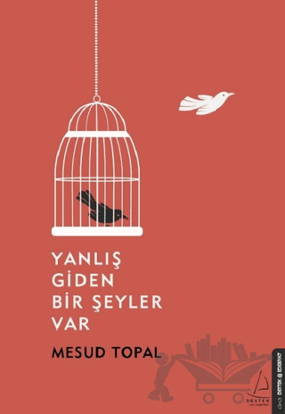 Yanlış Giden Bir Şeyler Var