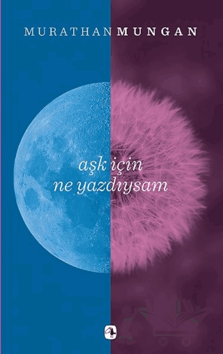 Aşk İçin Ne Yazdıysam