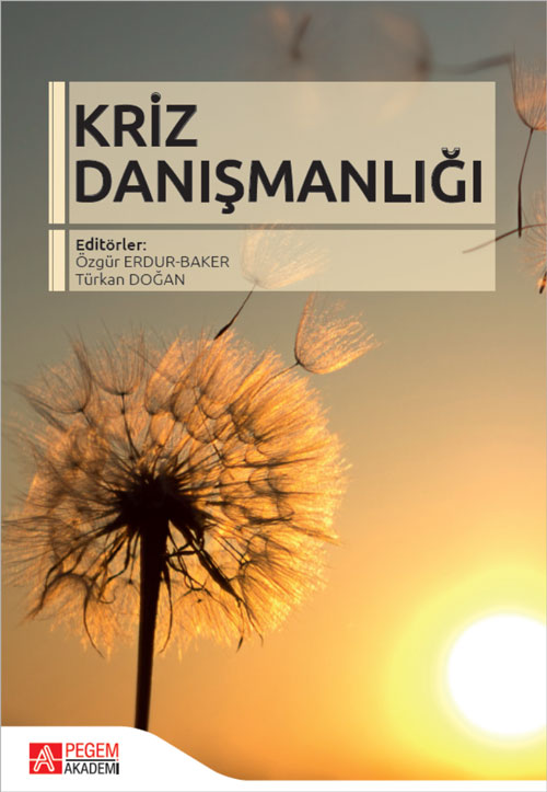 Kriz Danışmanlığı
