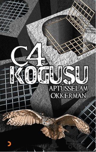 C-4 Koğuşu