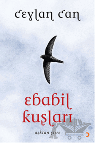 Ebabil Kuşları
