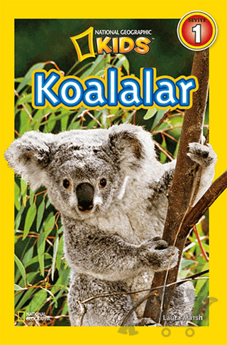 Koalalar - Seviye 1