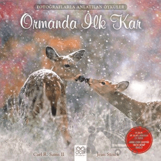 Ormanda İlk Kar