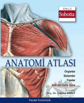 Anatomi Atlası (Sobotta Çizimleri)