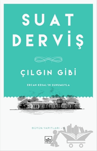 Çılgın Gibi