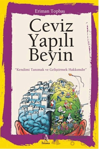 Ceviz Yapılı Beyin