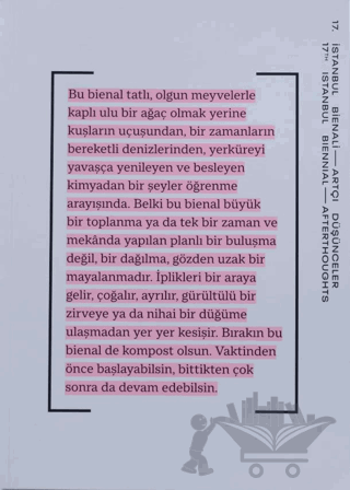 17. İstanbul Bienali - Artçı Düşünceler (Katalog)