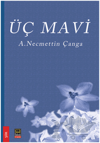 Üç Mavi