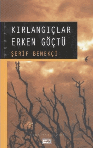 Kırlangıçlar Erken Göçtü