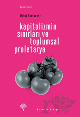Kapitalizmin Sınırları ve Toplumsal Proletarya