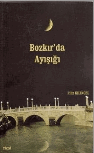 Bozkır’da Ayışığı