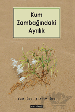 Kum Zambağındaki Ayrılık