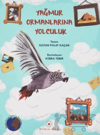 Yağmur Ormanlarına Yolculuk