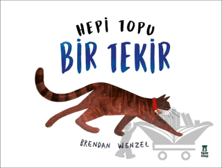 Hepi Topu Bir Tekir