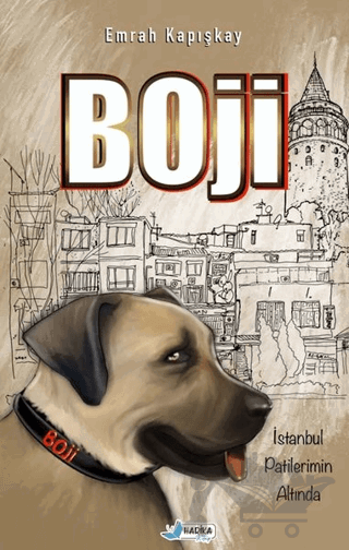 Boji