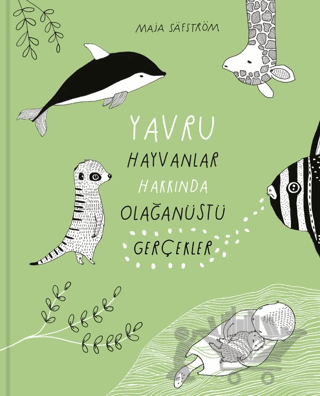 Yavru Hayvanlar Hakkında Olağanüstü Gerçekler
