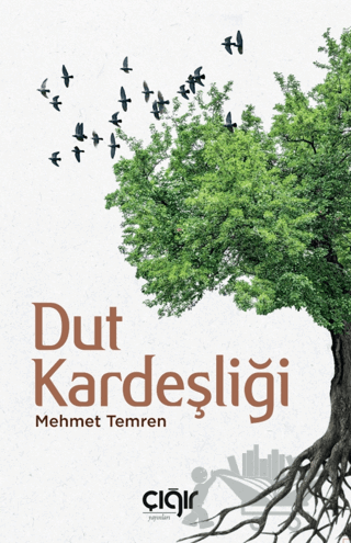 Dut Kardeşliği