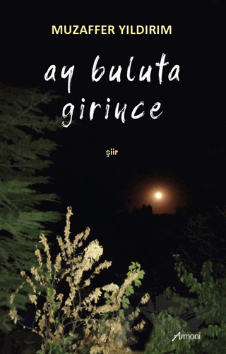 Ay Buluta Girince