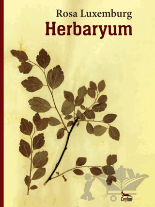 Herbaryum