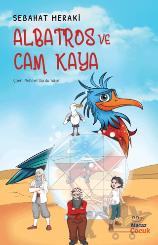 Albatros ve Cam Kaya