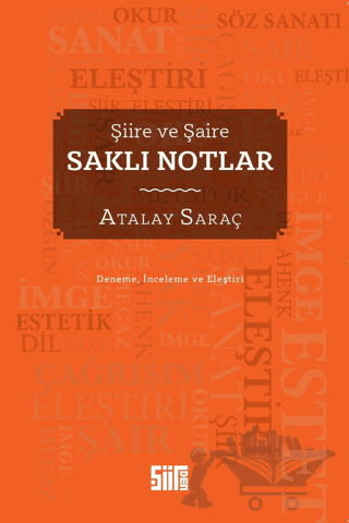 Şiire ve Şaire Saklı Notlar