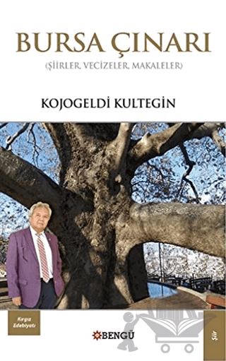 Bursa Çınarı