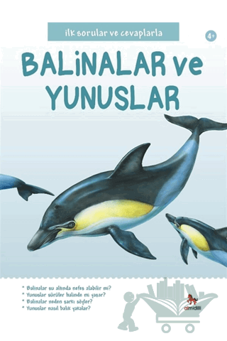 İlk Sorular ve Cevaplarla: Balinalar ve Yunuslar