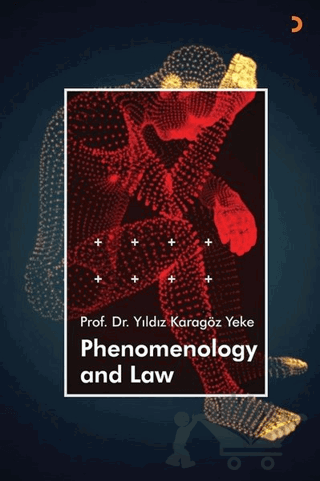 Phenomenology and Law
