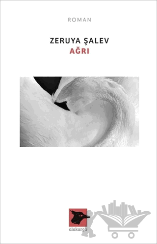 Ağrı