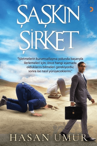Şaşkın Şirket